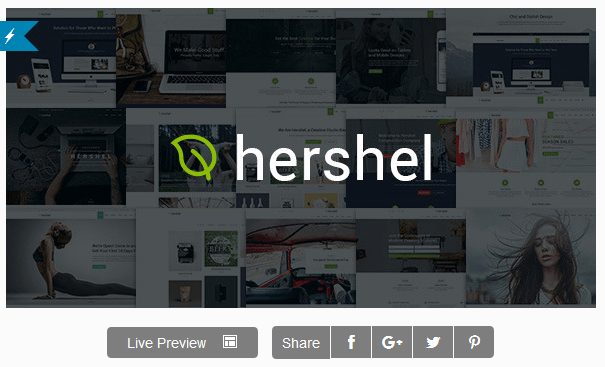 recustomer's tweet photo. Hershel – WP theme with big of potential features for Spa and Yoga Business https://t.co/2jp2MMbtVl https://t.co/HQ82EEl6EK