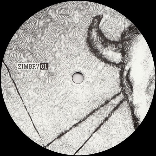 phonicarecords's tweet photo. Romanian imprint #Zimbru begins w/ #DanAndrei #Kozo and #PaulAgripa collab, #Sahau. https://t.co/3IcAL02WQU #vinyl https://t.co/4U1CtKF7Fd