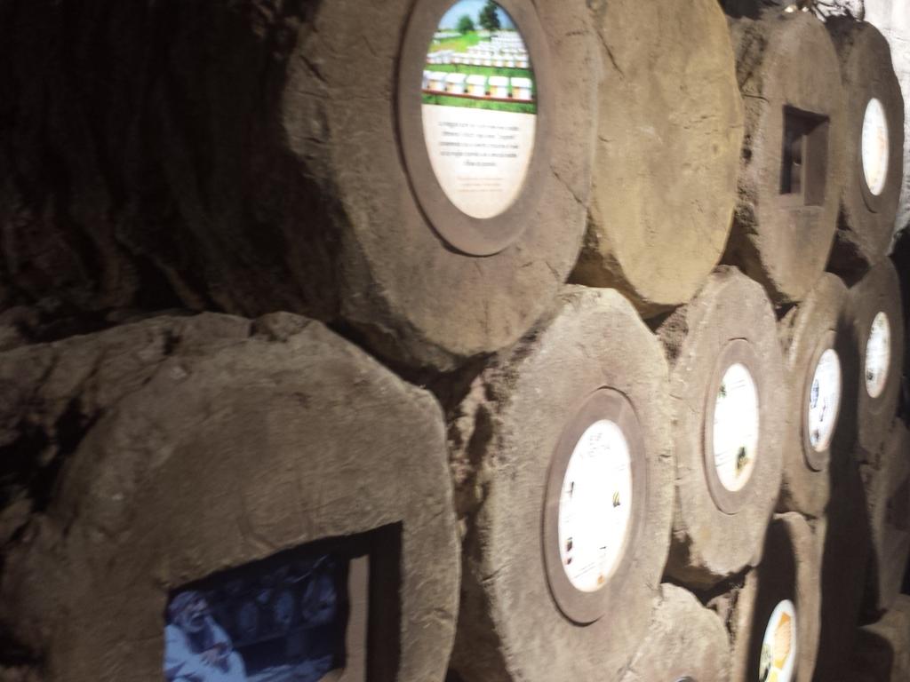 rosariopipolo's tweet photo. Back To @Expo2015Milano. Smile @OmanExpo2015. #Oman #Expo2015 #Milano https://t.co/EH5R406G4s