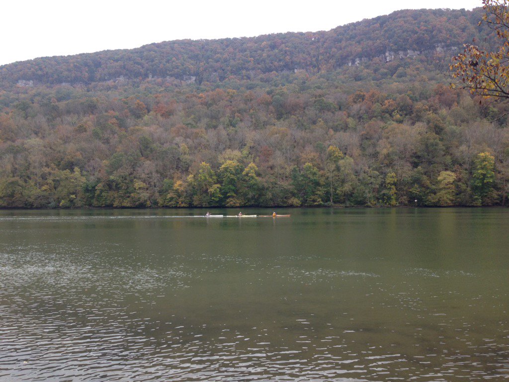 RiverRocks tweet media