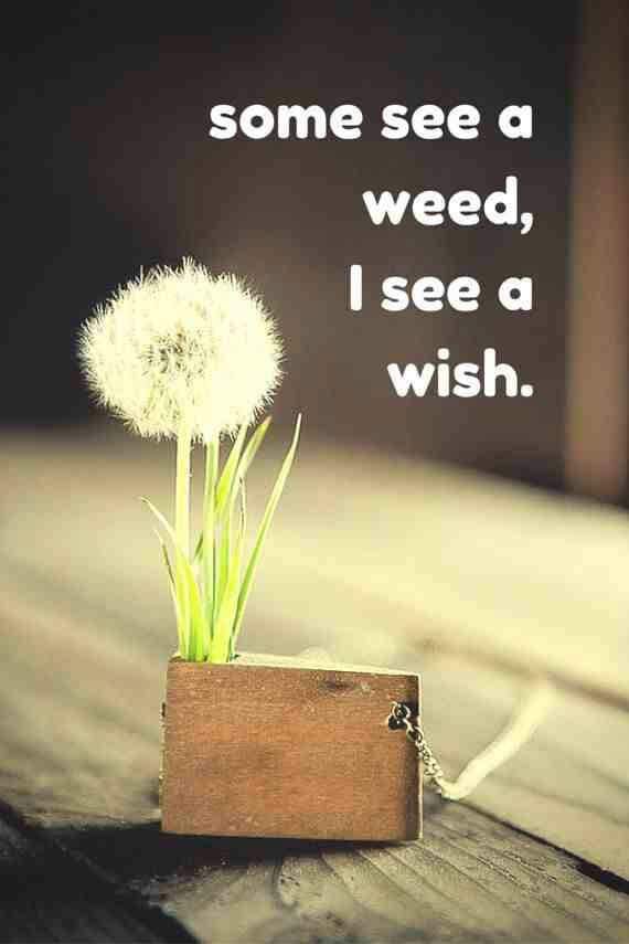 1PositiveQuotes's tweet photo. #positivethinking #PositiveQuotes #inspire https://t.co/QRL5ytKpvf