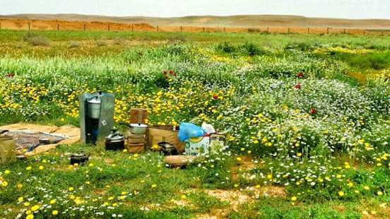 المسافه .. ذنب والفرقا حنين
الليالي ، طيف والواقع فراق

ما نسيتك يا بعد عمر السنين
كل ليل أشتاق حد : الإختناق