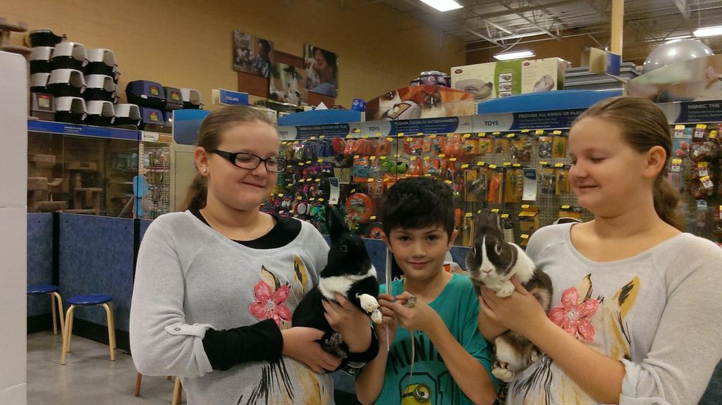 PattyMarie218's tweet photo. Look who hopped in @PetSmart for our #monstercute #howloween https://t.co/kXoYx3KBUG