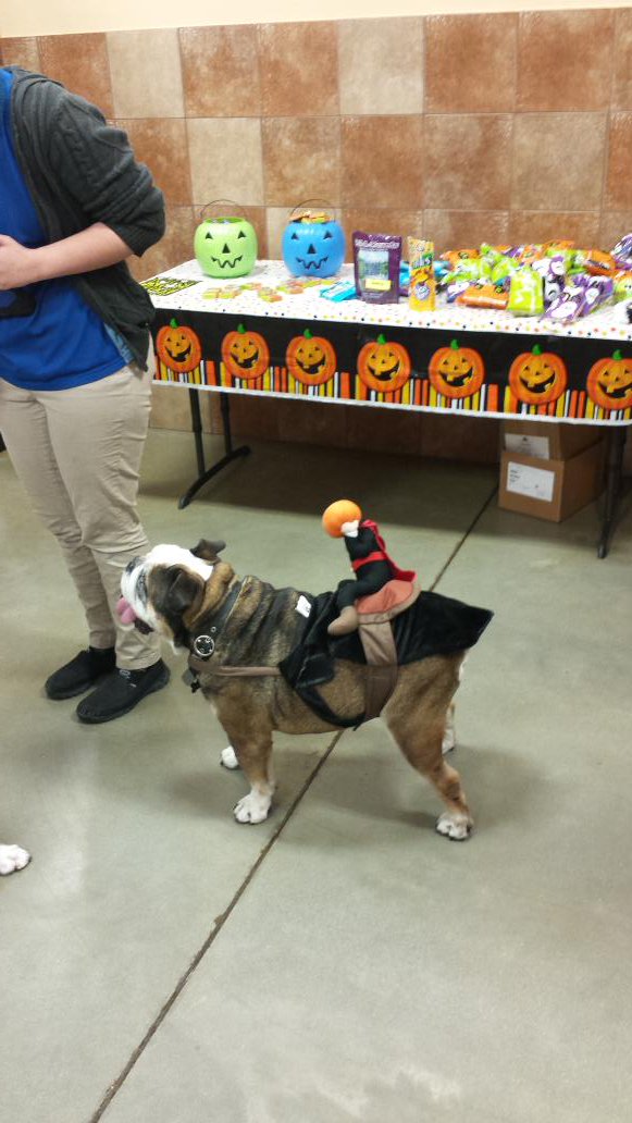Too cute.  #eastpetm <a href="/JulzLawrence/">Julz Lawrence </a> #monstercute