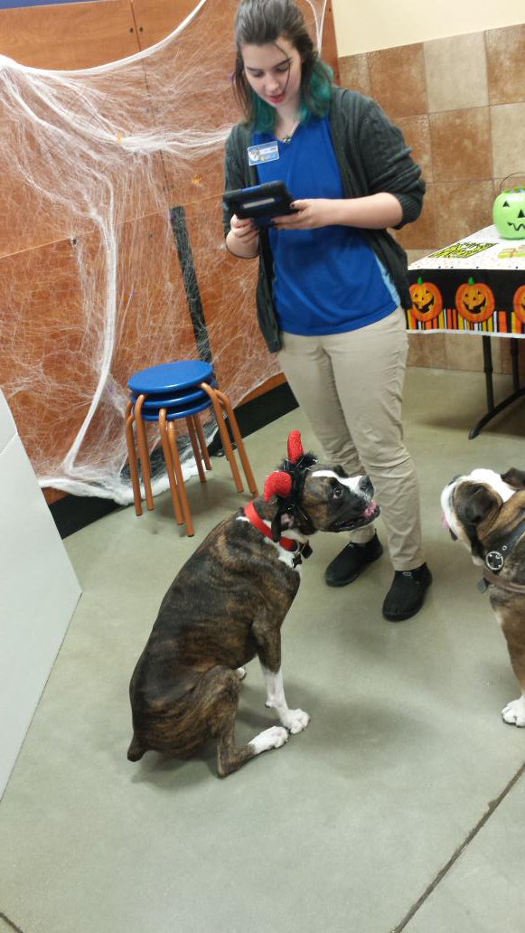 Ronrichie1's tweet photo. Too cute.  #eastpetm @JulzLawrence #monstercute https://t.co/jdQp46DQCw