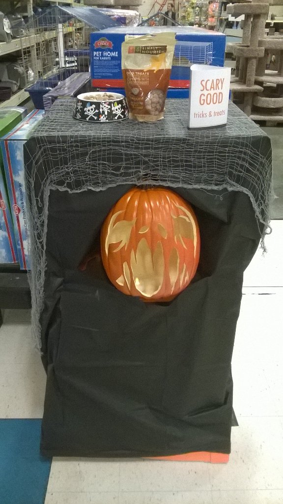 FriedmannDaniel's tweet photo. Tricking and treating.... Ready to roll #monstercute, https://t.co/DPVS3JKDsT