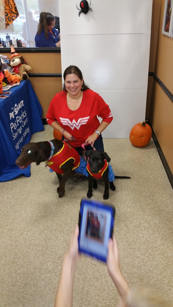 PetSmart tweet media