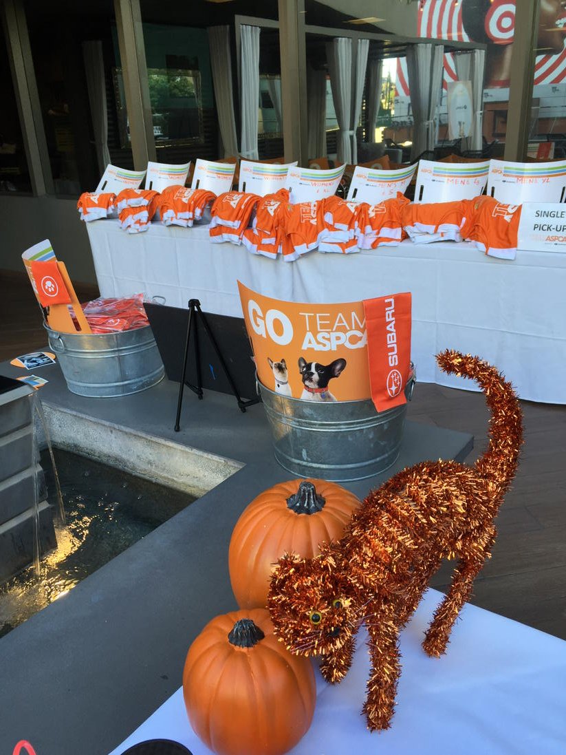 RunnerSpencer's tweet photo. Team ASPCA coaches breakfast 
#TeamAspca #SubaruLovesPets https://t.co/Ry1wppZXd7