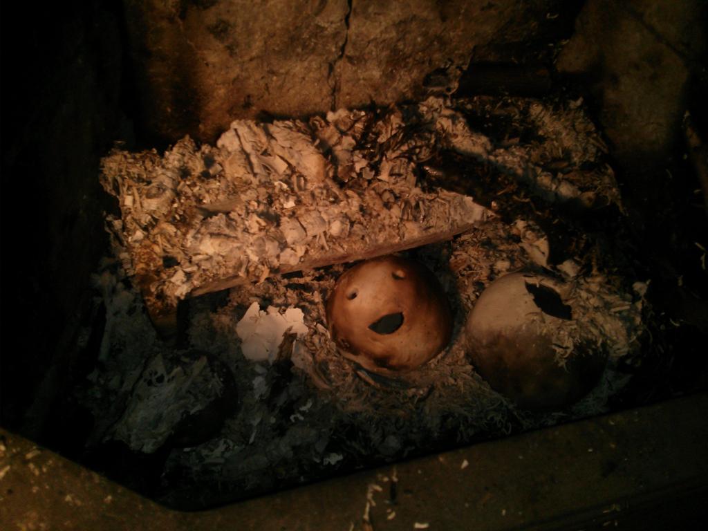 originalbobshop's tweet photo. After smouldering all evening Bob was exhausted https://t.co/E9accnX1ye