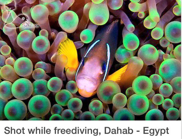 halabadawy64's tweet photo. #ThisIsEgypt 🇪🇬 https://t.co/fq0wm1CVcU