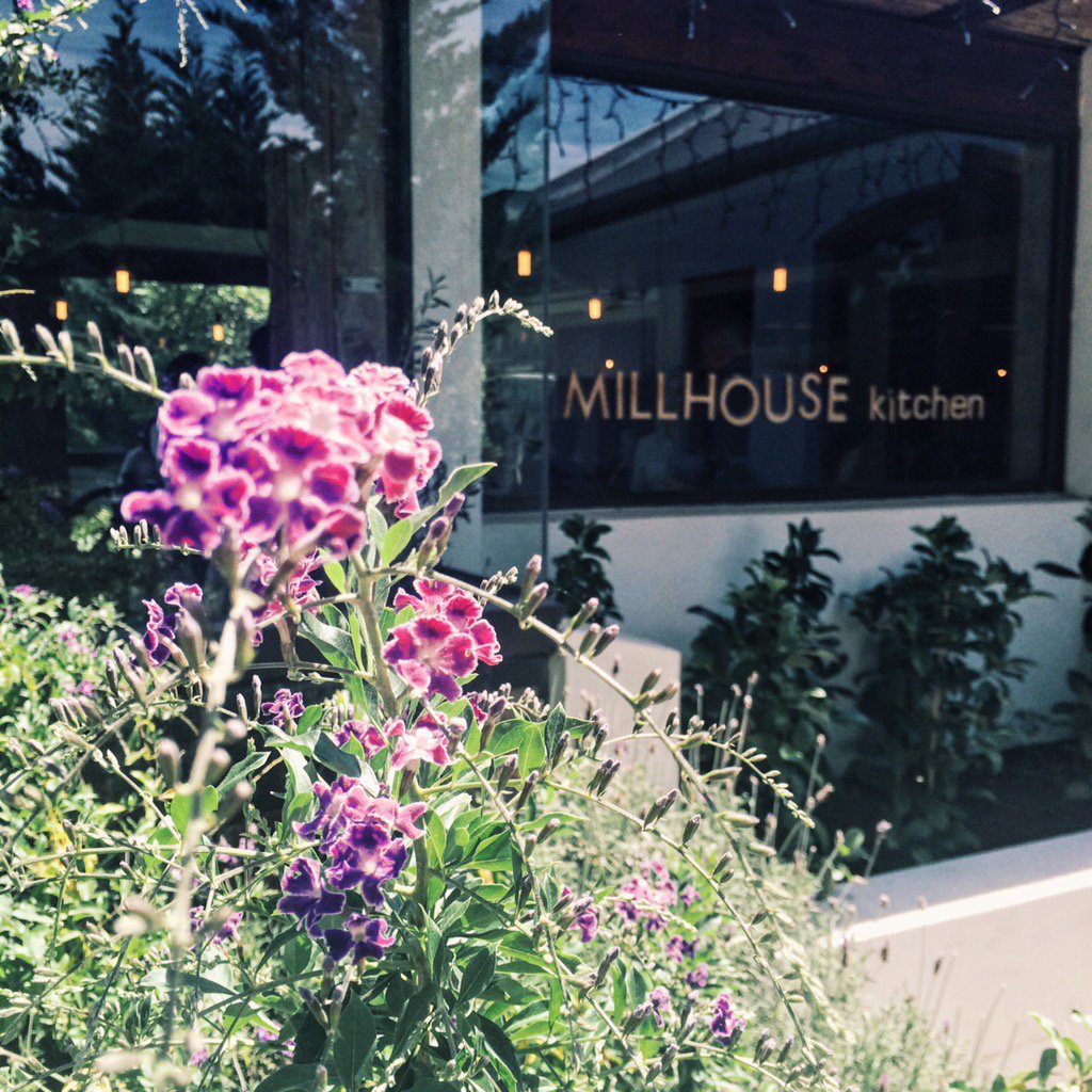 MischaDurrant's tweet photo. Shooting for @TheGlenmorangie  @millhousekitchen what a beautiful day! https://t.co/QP9GBX64Po