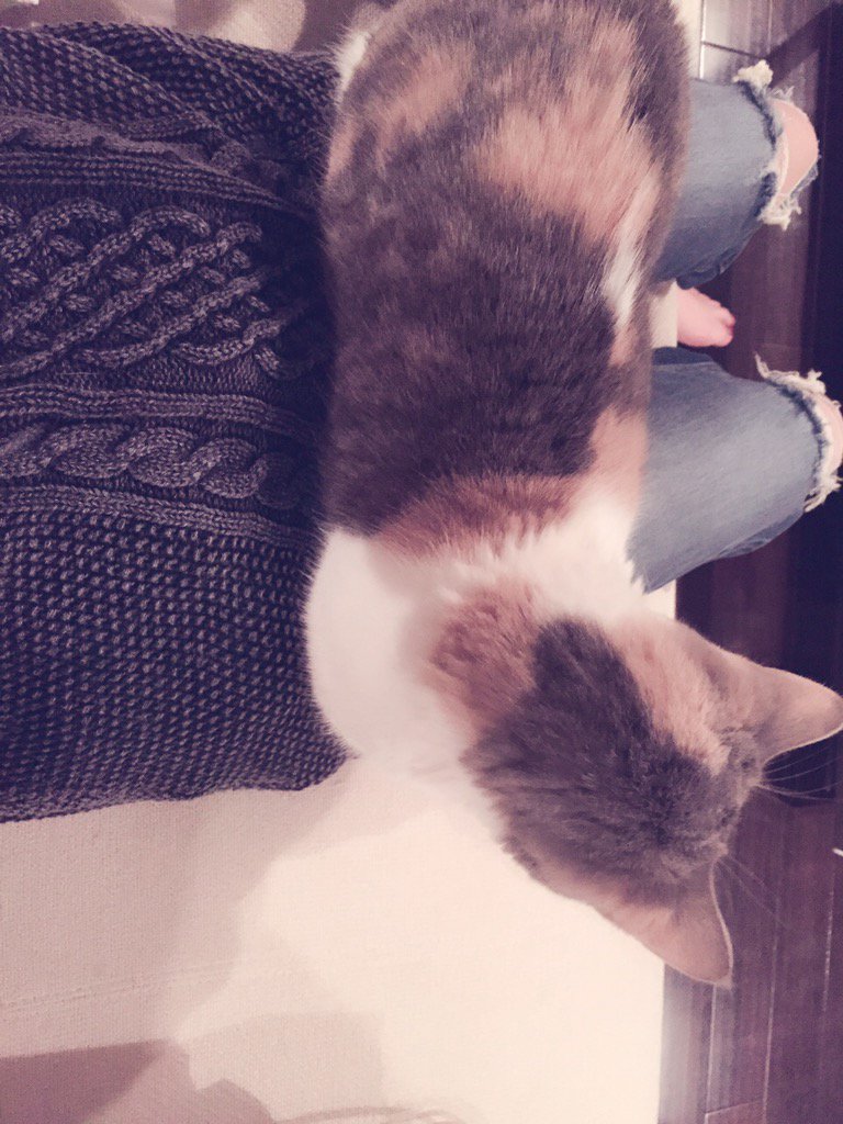 埋め込み画像への固定リンク