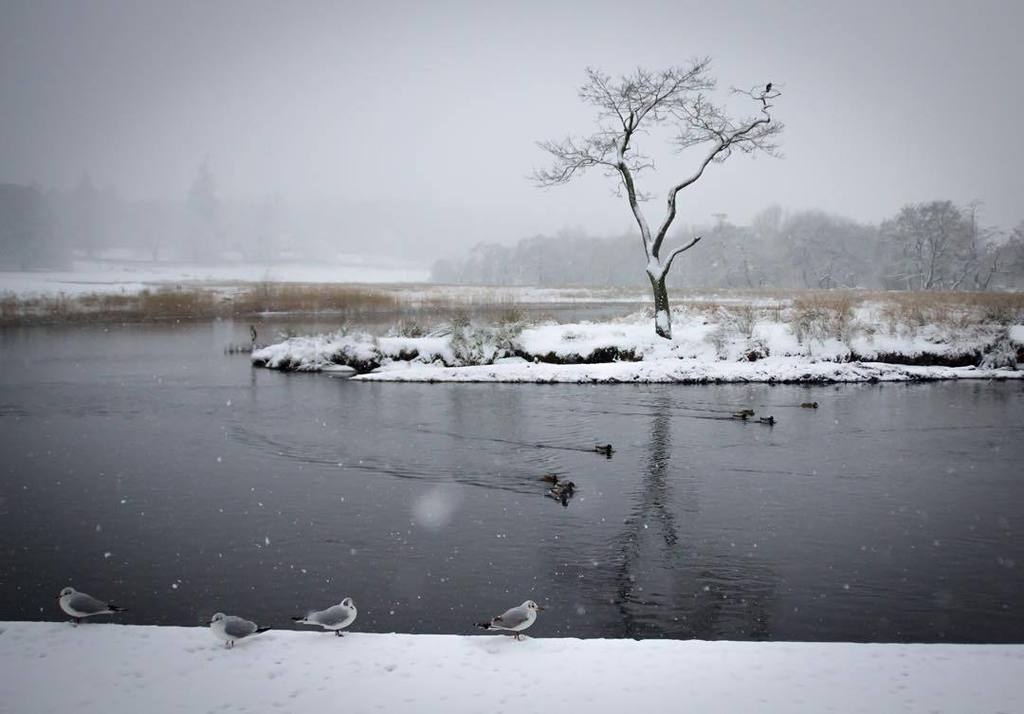 theElsewhereman's tweet image. The last time I experienced #cold... February 2013 in #Callendar #Scotland. Now that I off… ift.tt/1LTW3pz