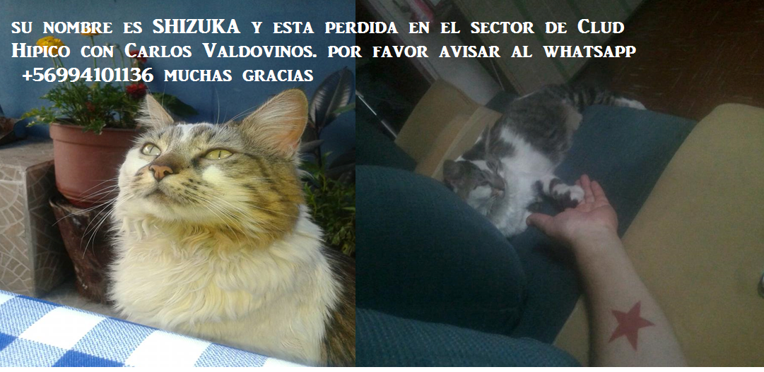 El Tornero tweet media