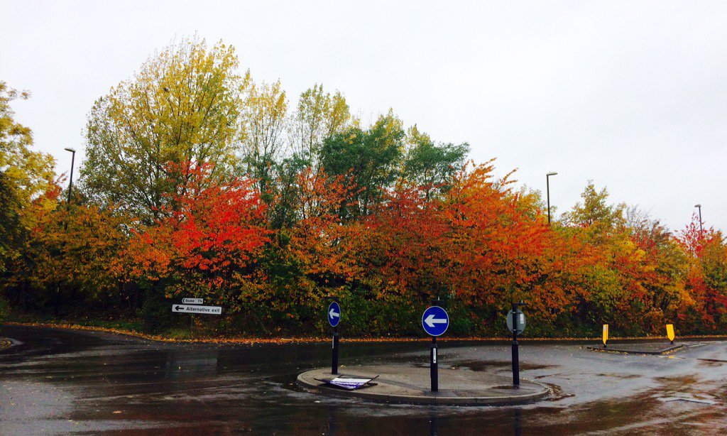 HelenFountain's tweet photo. Never mind the weather, stunning #autumn colours on show at #CourthouseGreen #Coventry today https://t.co/IDVL2QY7FE