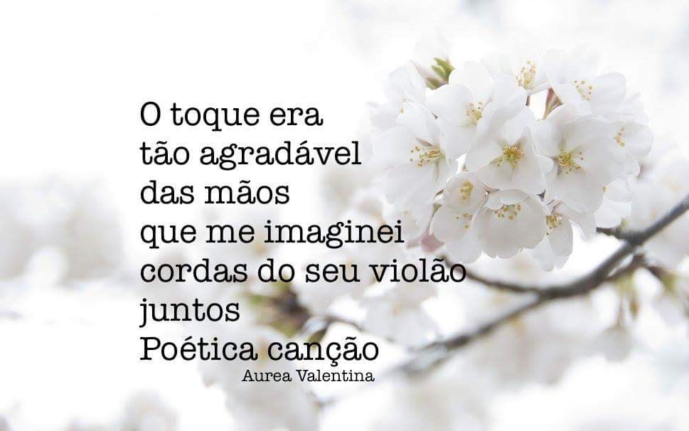 Twitter 上的 Sinta Minha Poesia: Twitter 上的 Sinta Minha Poesia: