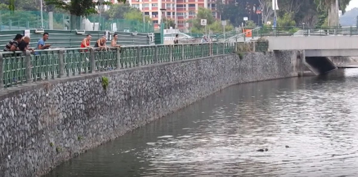 Embedded image permalink