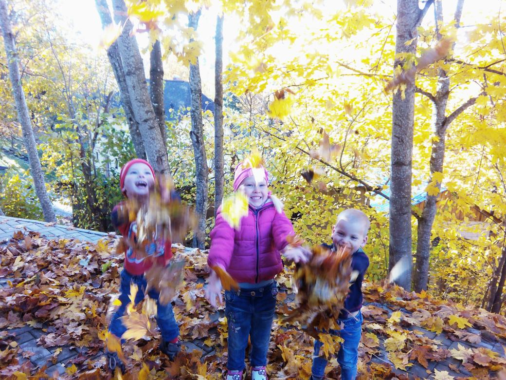Ainiic's tweet photo. Zelta rudens Talsos.. :) https://t.co/lqLLdomit6