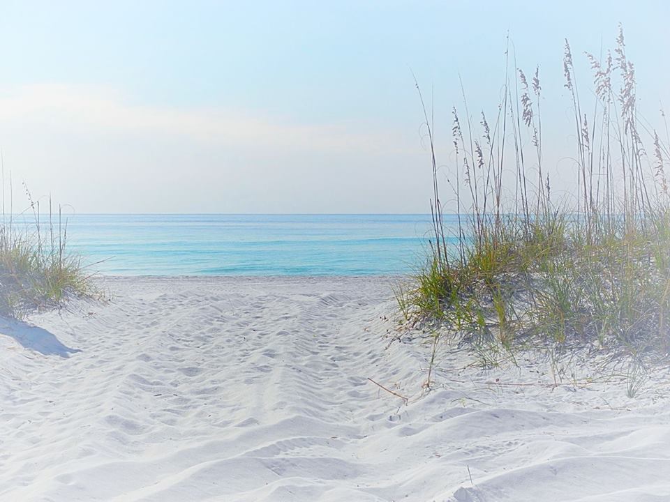 ItsMeJamiee's tweet image. Every now &amp;amp; then
when the world sits just right
a gentle breath of heaven
fills my soul with delight.
~Hazelmarie