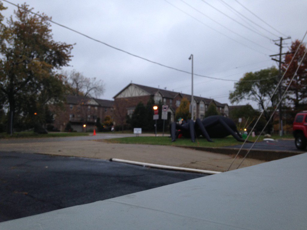 bginteract's tweet photo. That's one big spider #Halloweenhustle #divaisafemaleversionofahustler #fatstackz #spooky #interact #run @BG_Bison https://t.co/0RyAOwR0zI