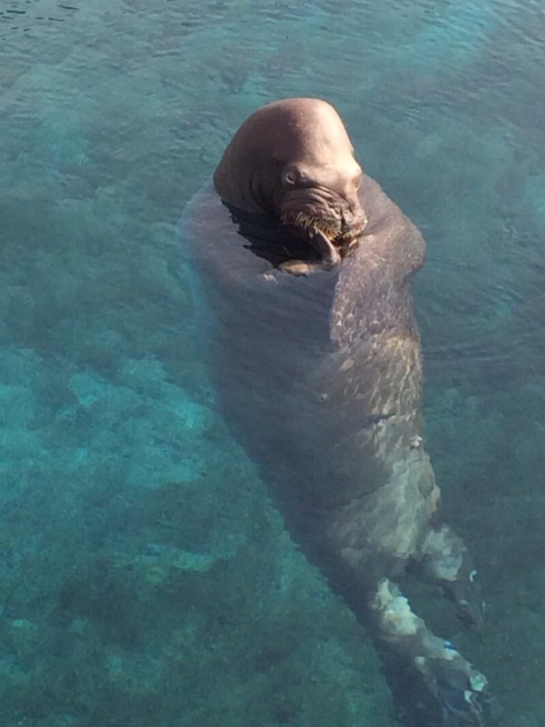 [근무태만] 근무시간인데 자꾸 자네요... 솔직히 이건 아니지 않나요? | 인스티즈