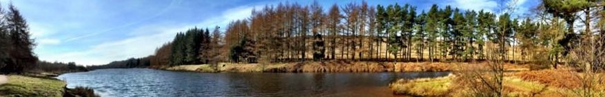 Autumn now truly here #ClocksGoBack tonight