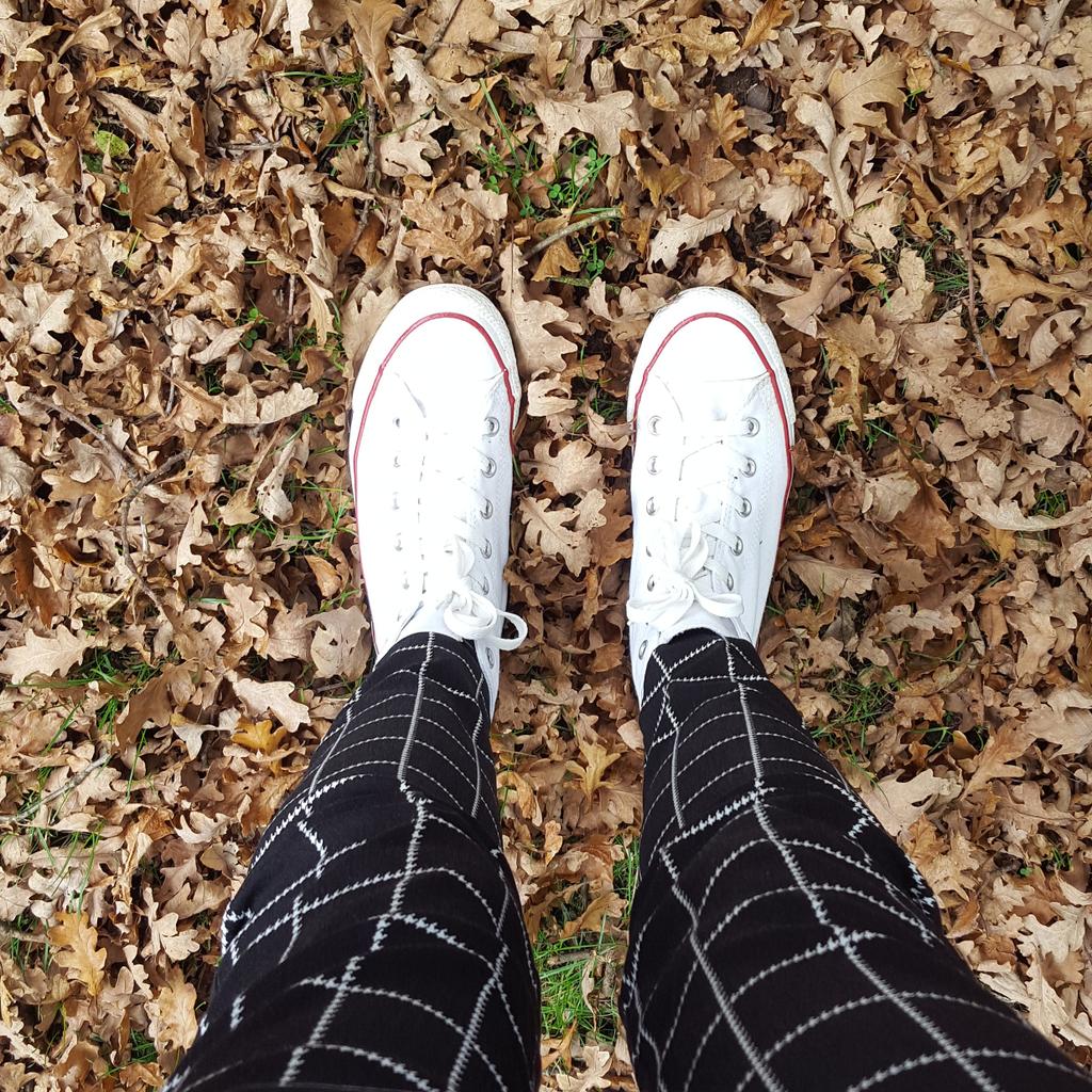 Staceyhoffmann_'s tweet photo. Love autumn 🌳💚 https://t.co/QldOoJtVp8