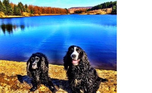Last Autumn lunch time dip before #ClocksGoBack
