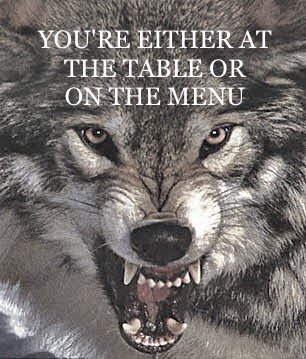 packswimdive's tweet photo. TWO HOURS UNTIL WE FEAST!  GO PACK! https://t.co/pdFuJaWbqE