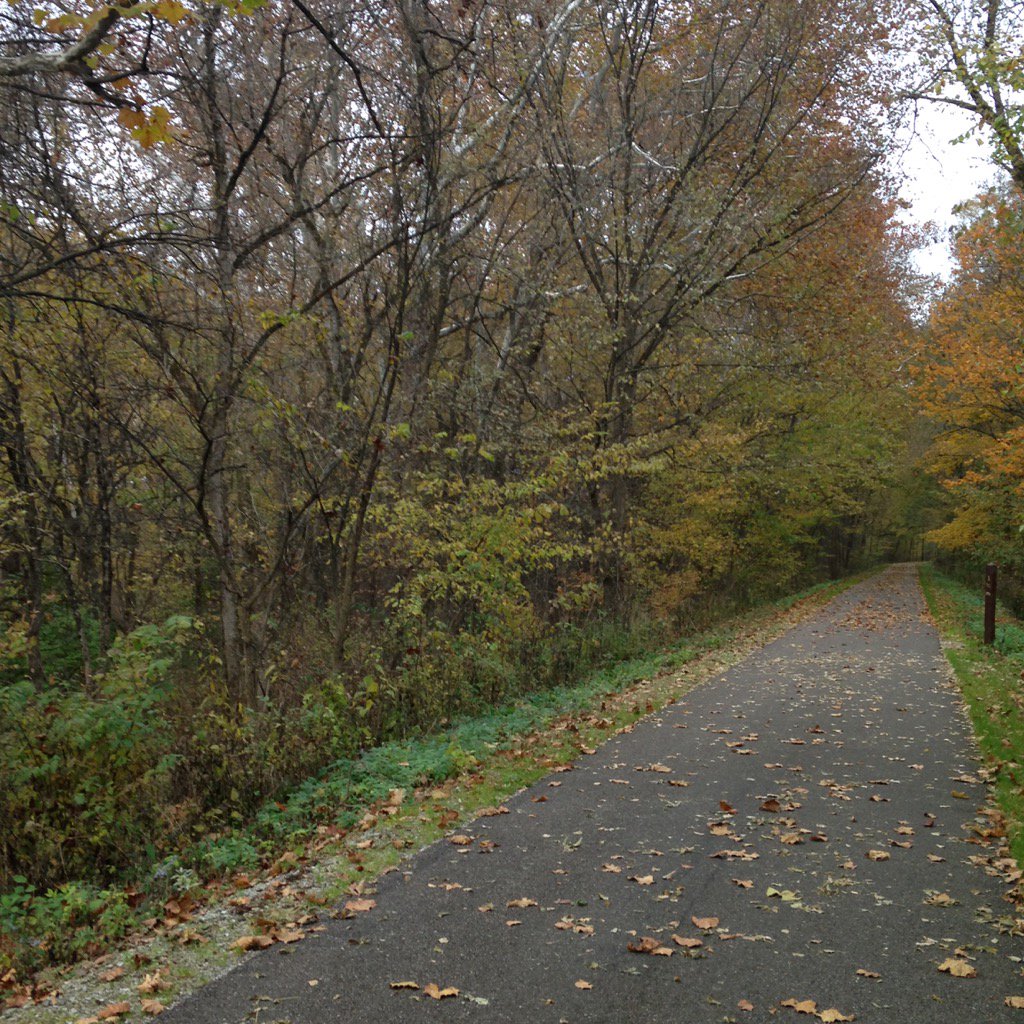 meredith_bonham's tweet photo. My morning walk. The Kokosing Gap Trail is a jewel. #autumnbeauty https://t.co/deoF4BAvLR