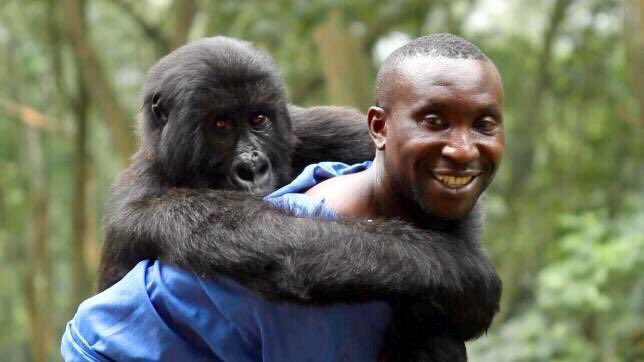 isaacBIOvega's tweet photo. Un mundo de respeto es posible ❤️🌍😺
I want a future in which humans live in harmony with nature
RT If YOU are AGREE! https://t.co/och8ZJDNgc