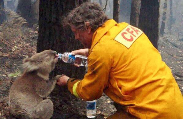 isaacBIOvega's tweet photo. Un mundo de respeto es posible ❤️🌍😺
I want a future in which humans live in harmony with nature
RT If YOU are AGREE! https://t.co/och8ZJDNgc