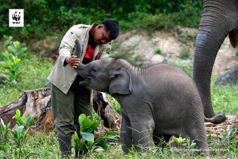 isaacBIOvega's tweet photo. Un mundo de respeto es posible ❤️🌍😺
I want a future in which humans live in harmony with nature
RT If YOU are AGREE! https://t.co/och8ZJDNgc
