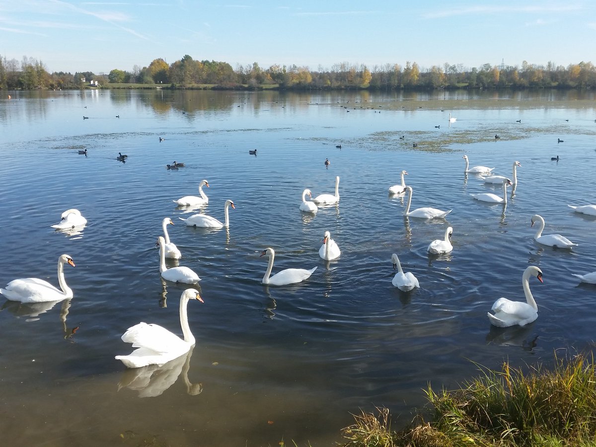 RevengeGermany's tweet photo. Enjoyed my day at the lake. #SunnyFall Have a wonderful weekend! 😙 @ChristineErhar1 @JillOhanneson @Bouganville2013 https://t.co/tsv3R1oUR8