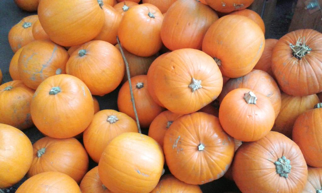 InsideHackney's tweet image. Kids of #Hackney! Come and carve a pumpkin @EasternCurve