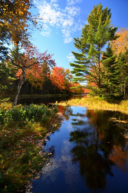 ParksCanada_NS's tweet photo. Celebrate these double-digit temperatures with a stroll at a #national #park or #historicsite! #FallInNS https://t.co/EPDXPexMUb