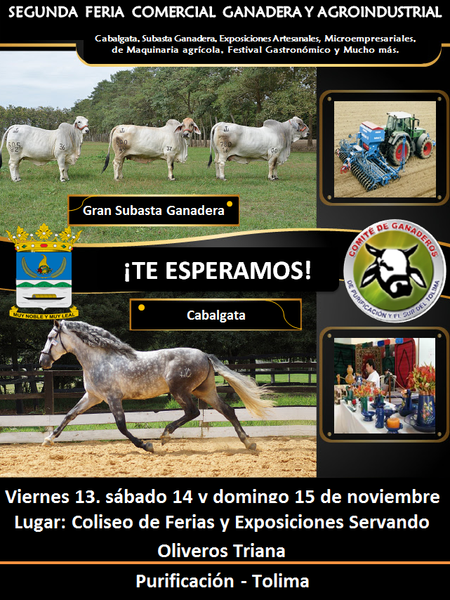 comitepuri's tweet image. Segunda Feria Comercial Ganadera y Agroindustrial 
En Purificación Tolima