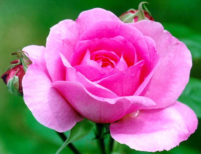 violagerman's tweet photo. @I041971 https://t.co/Er95Qsb3Qp