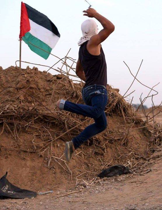 Embedded image permalink