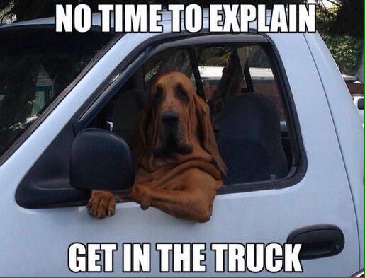 Rexy Knifes tweet media