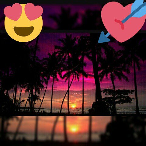 Dauphindu24's tweet photo. https://t.co/MQVAECRnEs
