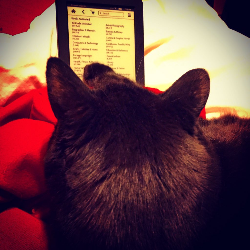 travelswithcats's tweet photo. Gemma can't decide what to read today. #housecatproblems she chose "Furiously Happy" @TheBloggess #JennyLawson https://t.co/bqacaDjJBl