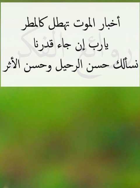 afror99 tweet picture