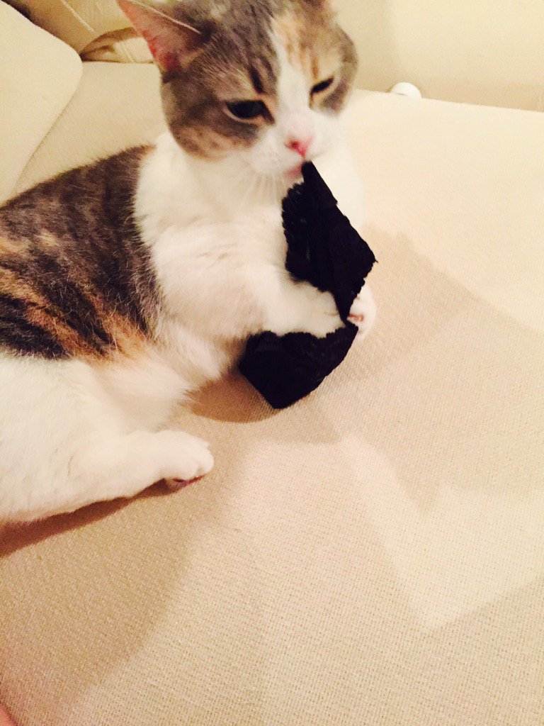 埋め込み画像への固定リンク