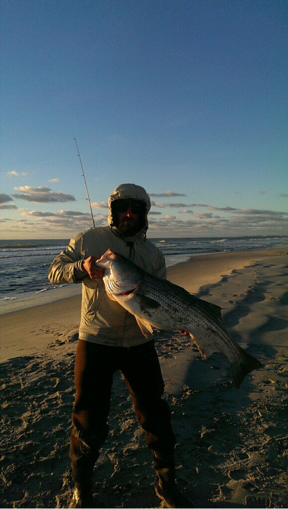 Fan215Philly's tweet photo. Cows came home before the sun fully rose. #Striper #CowTipper #StriperChaser #BeachBum #SurfRat #RockHopper #MuFish https://t.co/8WUOCStvOL