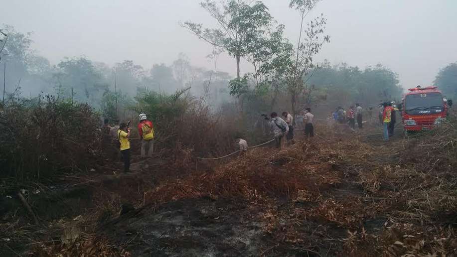 detikcom's tweet photo. Sejak 17 Tahun Silam Selalu Ada Kebakaran di Sumsel https://t.co/7qGRTn7NgJ https://t.co/k6C2ipMkVq