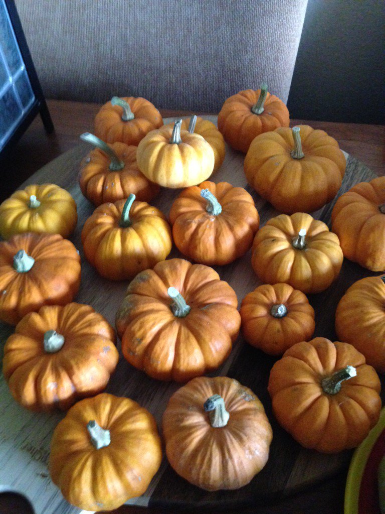 Hans_Struik's tweet photo. Beetje herfstsfeer in huis gebracht en uiteraard #wekelijksbloemetje voor mijn vrouw https://t.co/061tq3LO34