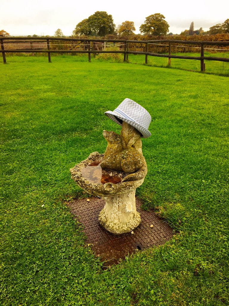 The_Chapeau's tweet photo. A lovely countryside week in Wolver-HAT-ton. #grandtheatre #glennmillerstory #theatredigs https://t.co/L8kvlC6iL7