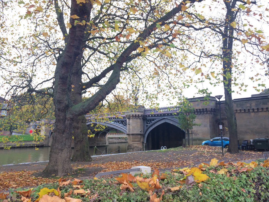 Autumn in York <a href="/yorkwalls/">York Walls</a> <a href="/VisitYork/">✨ Visit York ✨</a> <a href="/RetweetYork/">RT York UK</a>
