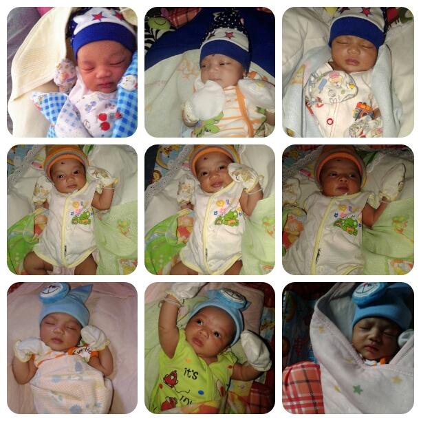 ewik hippo!! tweet media